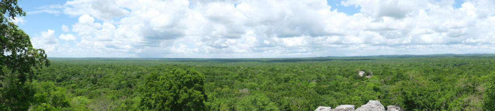 dschungel-panorama.jpg