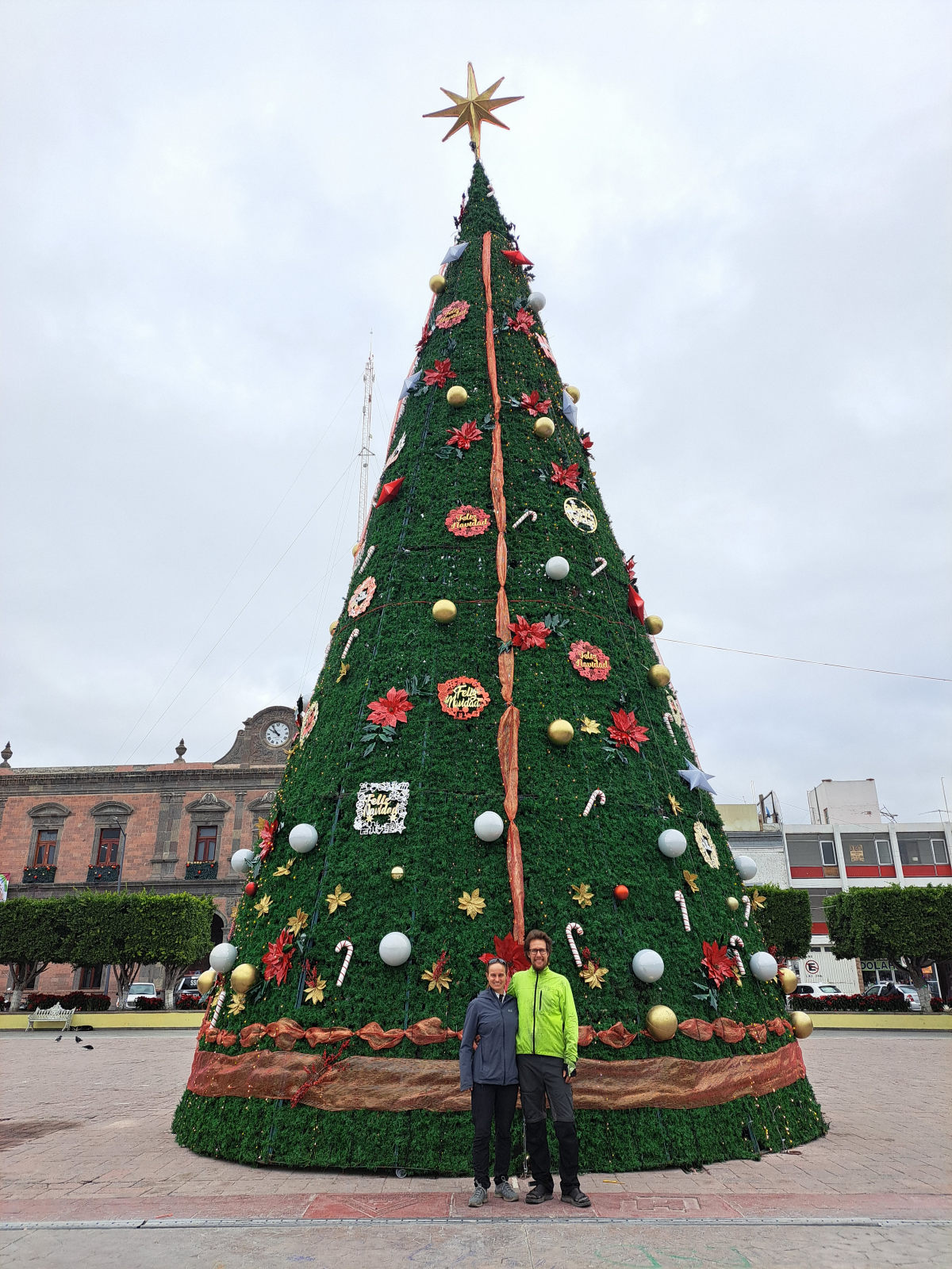 weihnachtsbaum.jpg